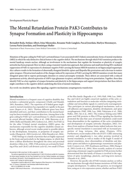 The Mental Retardation Protein PAK3 Contributes to Synapse Formation and Plasticity in Hippocampus