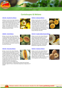 Reimer Seeds Catalog