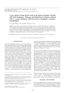 T.* & Ng, P. K. L. 2016 a New Species of Land Hermit Crab
