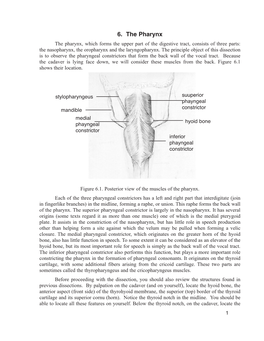 6. the Pharynx the Pharynx, Which Forms the Upper Part of the Digestive Tract, Consists of Three Parts: the Nasopharynx, the Oropharynx and the Laryngopharynx