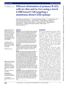 Efficient Elimination of Primary B-ALL Cells in Vitro and in Vivo Using A