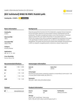 RING1B/RNF2 Rabbit Pab