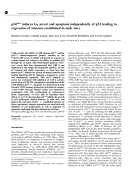 P14arf Induces G2 Arrest and Apoptosis Independently of P53