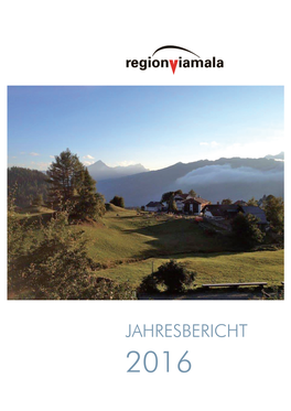 Geschäftsbericht 2016 Der Region