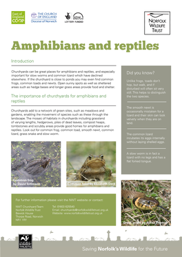 Amphibians and Reptiles