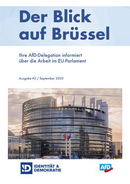 Ihre Afd-Delegation Informiert Über Die Arbeit Im EU-Parlament