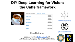 DIY Deep Learning for Vision: the Caffe Framework