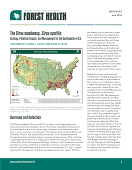 The Sirex Woodwasp, Sirex Noctilio: Pest in North America May Be the Ecology, Potential Impact, and Management in the Southeastern U.S