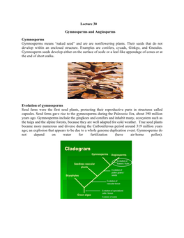 Handouts-Lect. 30 Gymnosperms and Angiosperms.Pdf