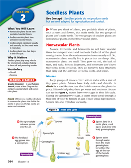 Seedless Plants Key Concept Seedless Plants Do Not Produce Seeds 2 but Are Well Adapted for Reproduction and Survival