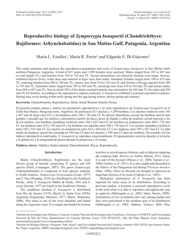 Reproductive Biology of Sympterygia Bonapartii (Chondrichthyes: Rajiformes: Arhynchobatidae) in San Matías Gulf, Patagonia, Argentina