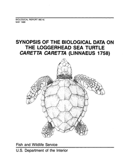 Synopsis of the Biological Data on the Loggerhead Sea Turtle Caretta Caretta (Linnaeus 1758)