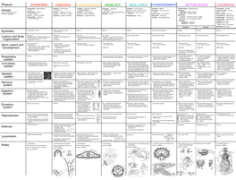 Animal Phylum Poster Porifera