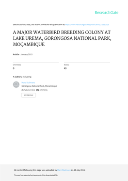 A Major Waterbird Breeding Colony at Lake Urema, Gorongosa National Park, Moçambique