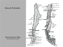 Festuca Pallescens Colliguaya Integerrima- Festuca Pallescens