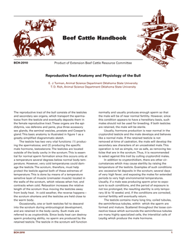 Anatomy and Physiology of a Bull's Reproductive Tract
