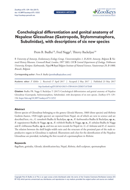 Conchological Differentiation and Genital Anatomy of Nepalese Glessulinae (Gastropoda, Stylommatophora, Subulinidae), with Descriptions of Six New Species