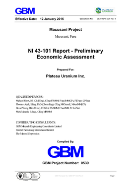 NI 43-101 Report - Preliminary Economic Assessment