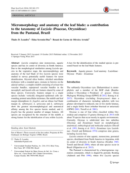 Micromorphology and Anatomy of the Leaf Blade: a Contribution to the Taxonomy of Luziola (Poaceae, Oryzoideae) from the Pantanal, Brazil