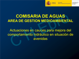 Actuaciones En Cauces Para Mejora Del Comportamiento Hidráulico En Situación De C Havenidas Ebro  Tipologías De Actuaciones