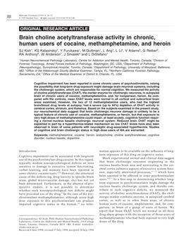 Brain Choline Acetyltransferase Activity in Chronic, Human Users of Cocaine