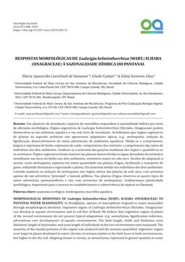 RESPOSTAS MORFOLÓGICAS DE Ludwigia Helminthorrhiza (MART.) H.HARA (ONAGRACEAE) À SAZONALIDADE HÍDRICA DO PANTANAL