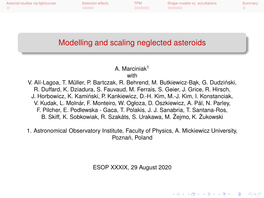 Modelling and Scaling Neglected Asteroids