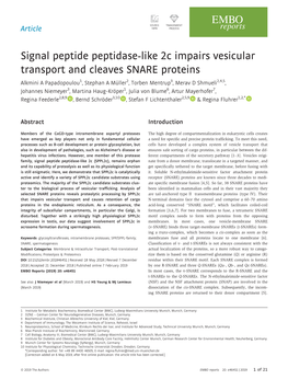Signal Peptide Peptidase‐Like 2C Impairs Vesicular Transport And