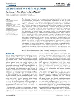 Echolocation in Oilbirds and Swiftlets