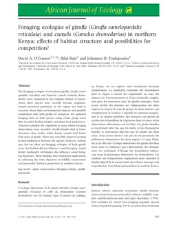 Foraging Ecologies of Giraffe (Giraffa Camelopardalis Reticulata)