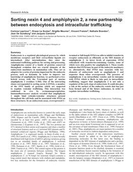 Sorting Nexin 4 and Amphiphysin 2, a New Partnership Between Endocytosis and Intracellular Trafficking