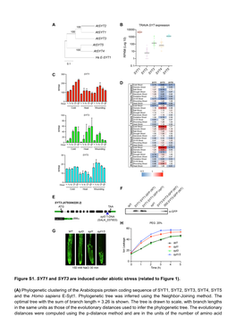 Figure S1. SYT1 and SYT3 Are Induced Under Abiotic Stress (Related to Figure 1)