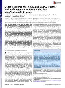 Genetic Evidence That Celsr3 and Celsr2, Together with Fzd3, Regulate Forebrain Wiring in a Vangl-Independent Manner