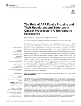 The Role of ARF Family Proteins and Their Regulators and Effectors in Cancer Progression: a Therapeutic Perspective