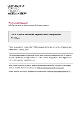 Westminsterresearch ZFP36 Proteins and Mrna Targets in B Cell