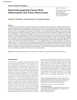 Entamoeba Gingivalis Causes Oral Inflammation And
