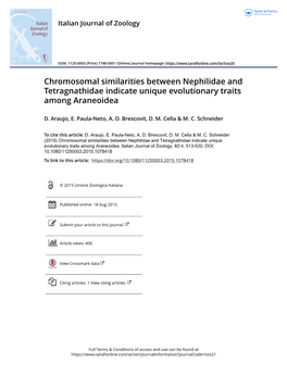 Chromosomal Similarities Between Nephilidae and Tetragnathidae Indicate Unique Evolutionary Traits Among Araneoidea