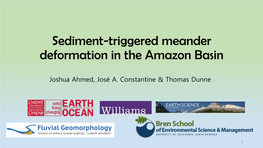 Sediment-Triggered Meander Deformation in the Amazon Basin