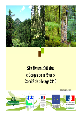 Site Natura 2000 Des « Gorges De La Rhue » Comité De Pilotage 2016