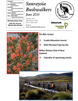 2013 June Newsletter