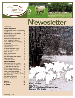 N'ewesletter January 2016