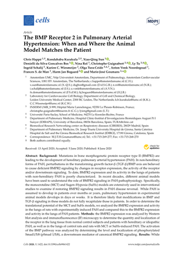 The BMP Receptor 2 in Pulmonary Arterial Hypertension: When and Where the Animal Model Matches the Patient