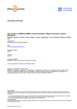 The Function of NM23-H1/NME1 and Its Homologs in Major Processes Linked to Metastasis