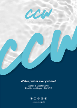 Water and Waste Water Resilience Report 2019-20