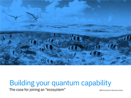 Building Your Quantum Capability