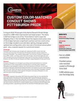 Custom Color-Matched Conduit Shows Pittsburgh Pride