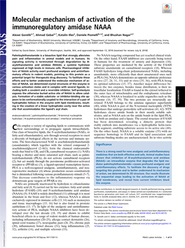 Molecular Mechanism of Activation of the Immunoregulatory Amidase NAAA