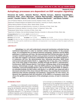 Autophagy Processes Are Dependent on EGF Receptor Signaling