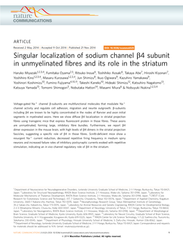 Singular Localization of Sodium Channel &Beta