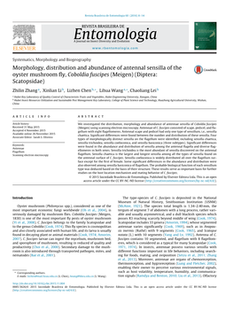 Morphology, Distribution and Abundance of Antennal Sensilla of The